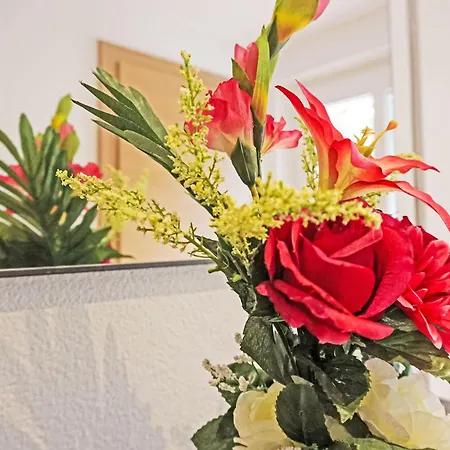 Studio 1 By Interhome